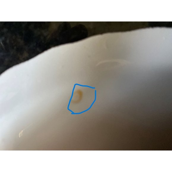 Pope Gosser Blue Floral 7" Serving Bowl - Picture 8 of 9